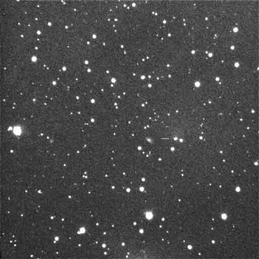 foto gemaakt door Henk Munsterman