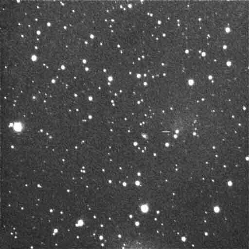 foto gemaakt door Henk Munsterman